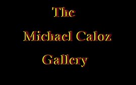Enter The Michael Caloz Gallery